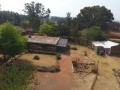 8.5 Hectare Farm Land - Tarlton 1