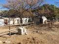 2.4 Ha Property with Multiple Dwellings, Honeydew 17