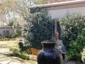 4-Bedroomed Unit, Vereeniging 24