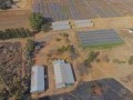 34 Hectare Farm - Tarlton   5