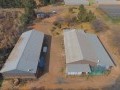 34 Hectare Farm - Tarlton   7
