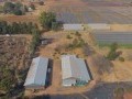 34 Hectare Farm - Tarlton   8