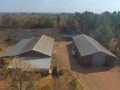 34 Hectare Farm - Tarlton   10