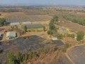 34 Hectare Farm - Tarlton   16