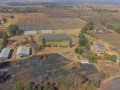 34 Hectare Farm - Tarlton   17