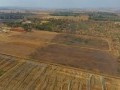 34 Hectare Farm - Tarlton   19