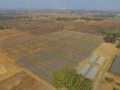 34 Hectare Farm - Tarlton   20