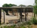 40 Hectare Farm - Melkbosstrand 6