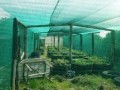 40 Hectare Farm - Melkbosstrand 12