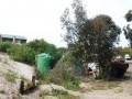 40 Hectare Farm - Melkbosstrand 21