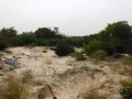 40 Hectare Farm - Melkbosstrand 23