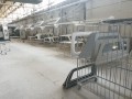 Fibreglass Canopy – Manufacturing Plant - Alberton 32