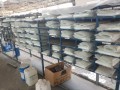 Fibreglass Canopy – Manufacturing Plant - Alberton 39