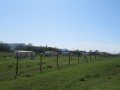 270 Hectare Farm, Old Cape Road, Thornhill, Uitenhage RD 13
