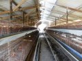 42 Hectare Farm - Paarl Rural 1