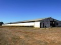 42 Hectare Farm - Paarl Rural 5
