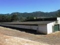42 Hectare Farm - Paarl Rural 13
