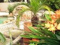4-Bedroomed Family Home with 2 Flatlets, Northcliff 10